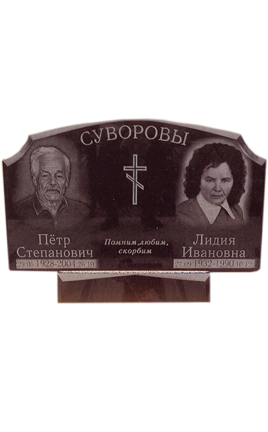 Модель ГП-163