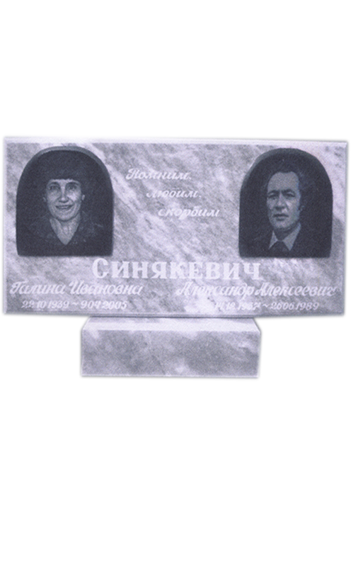 Модель МП-243