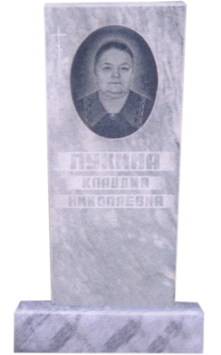 Модель МП-247