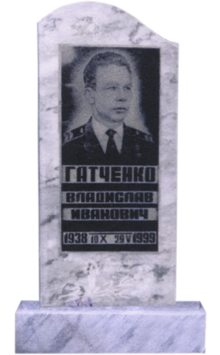 Модель МП-248