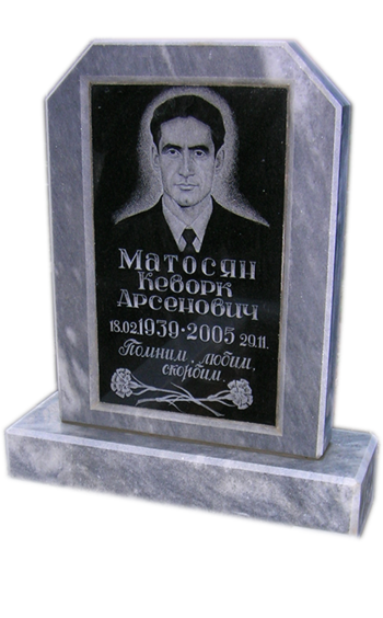 Модель МП-263