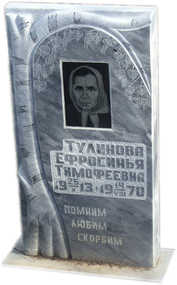 Модель МП-266