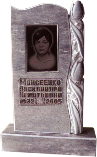 Модель МП-320