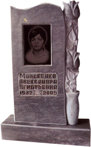 Модель МП-321